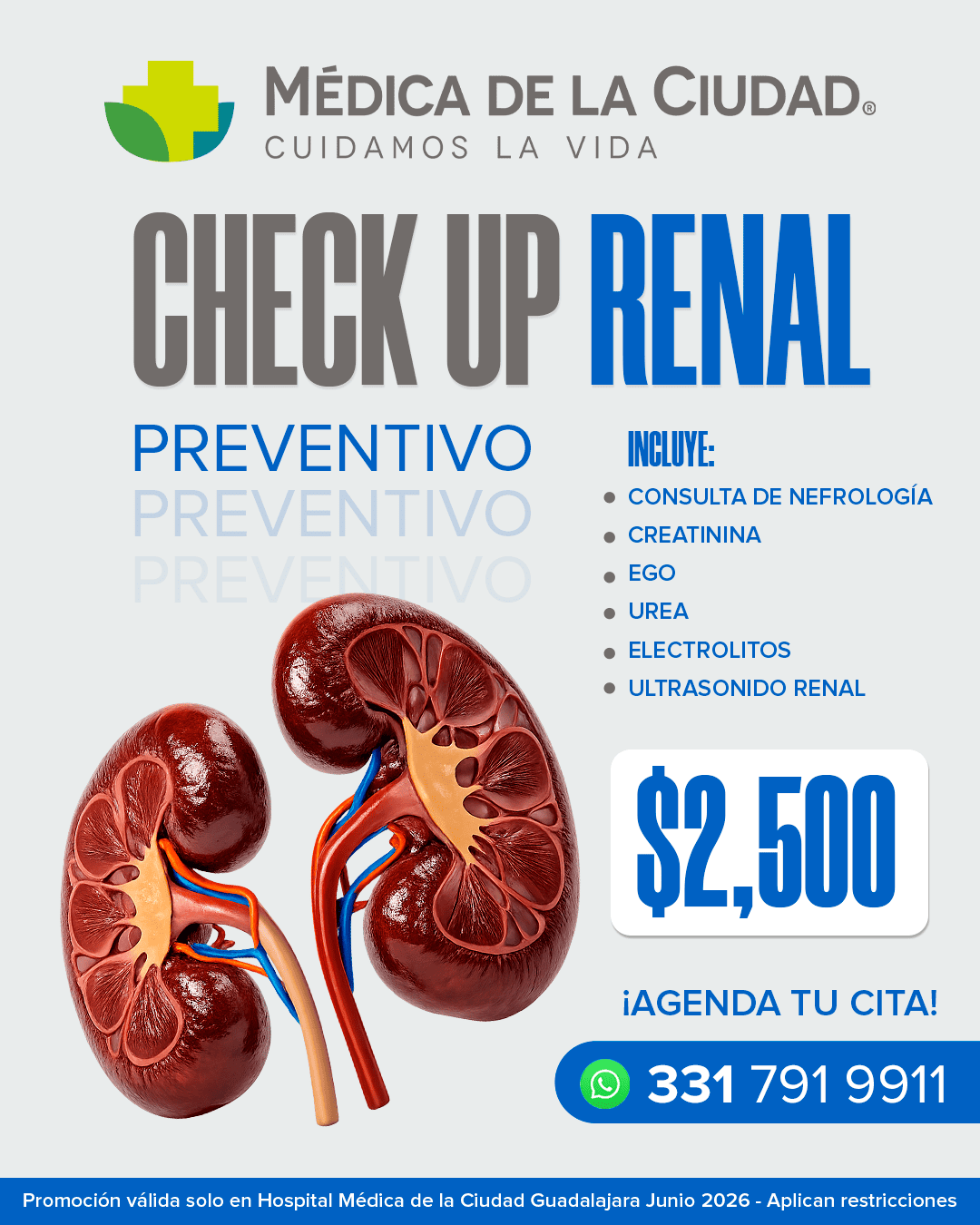 Check up renal gdl